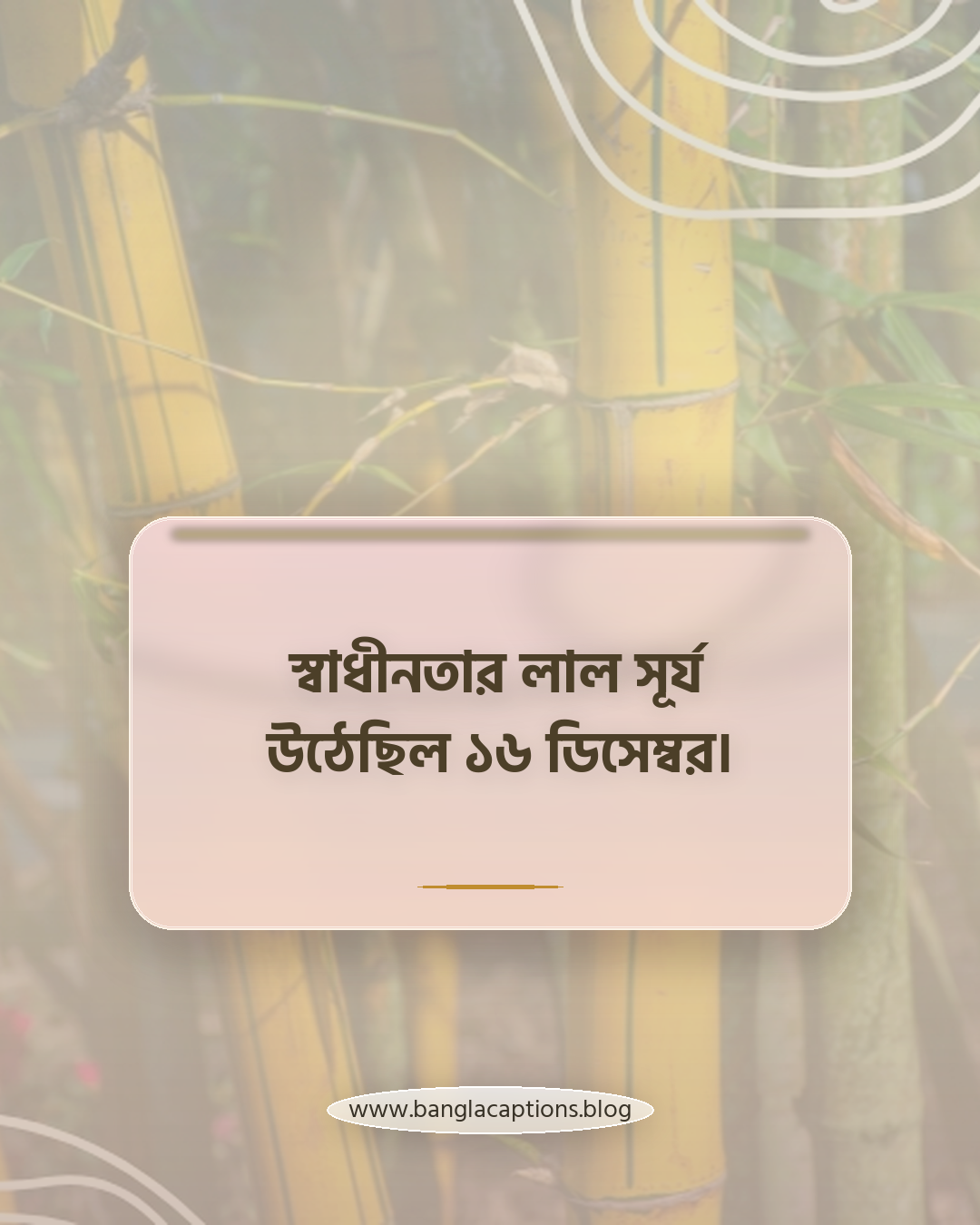 স্বাধীনতার লাল সূর্য উঠেছিল ১৬ ডিসেম্বর। - ১৬ ডিসেম্বর বিজয় দিবস ক্যাপশন