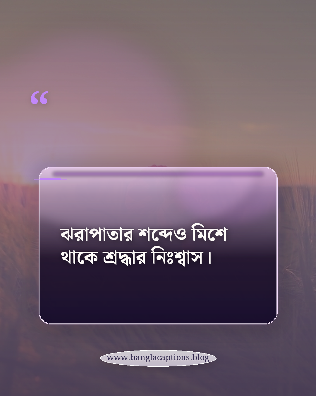 ঝরাপাতার শব্দেও মিশে থাকে শ্রদ্ধার নিঃশ্বাস। - আগস্ট মাস নিয়ে কবিতা