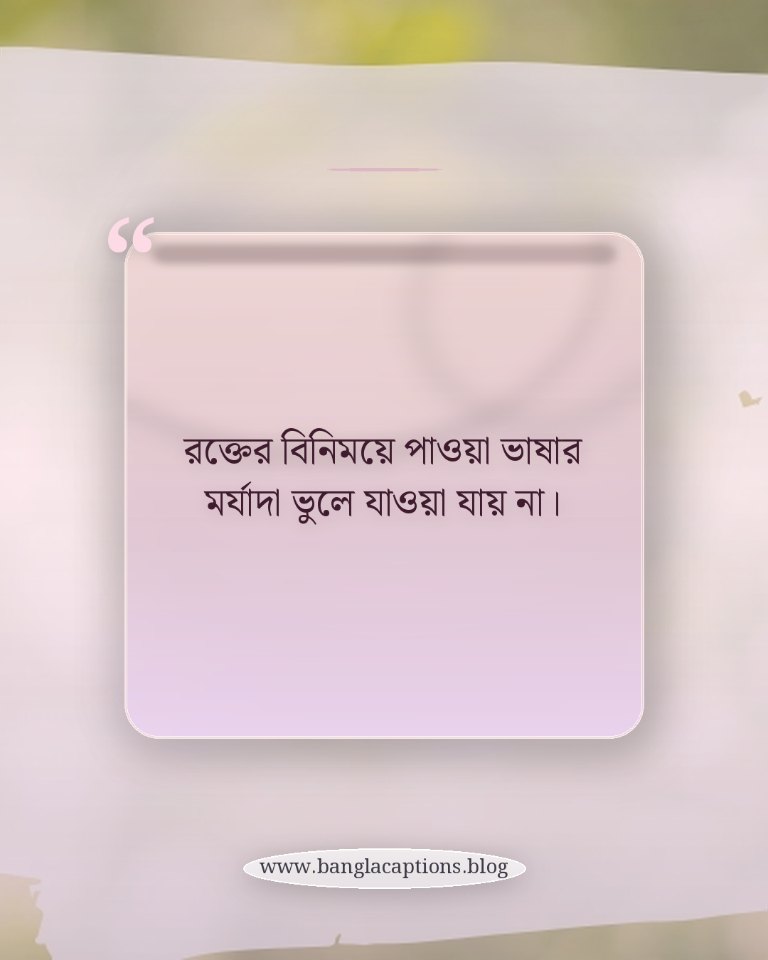 রক্তের বিনিময়ে পাওয়া ভাষার মর্যাদা ভুলে যাওয়া যায় না। - ভাষা আন্দোলন নিয়ে ক্যাপশন