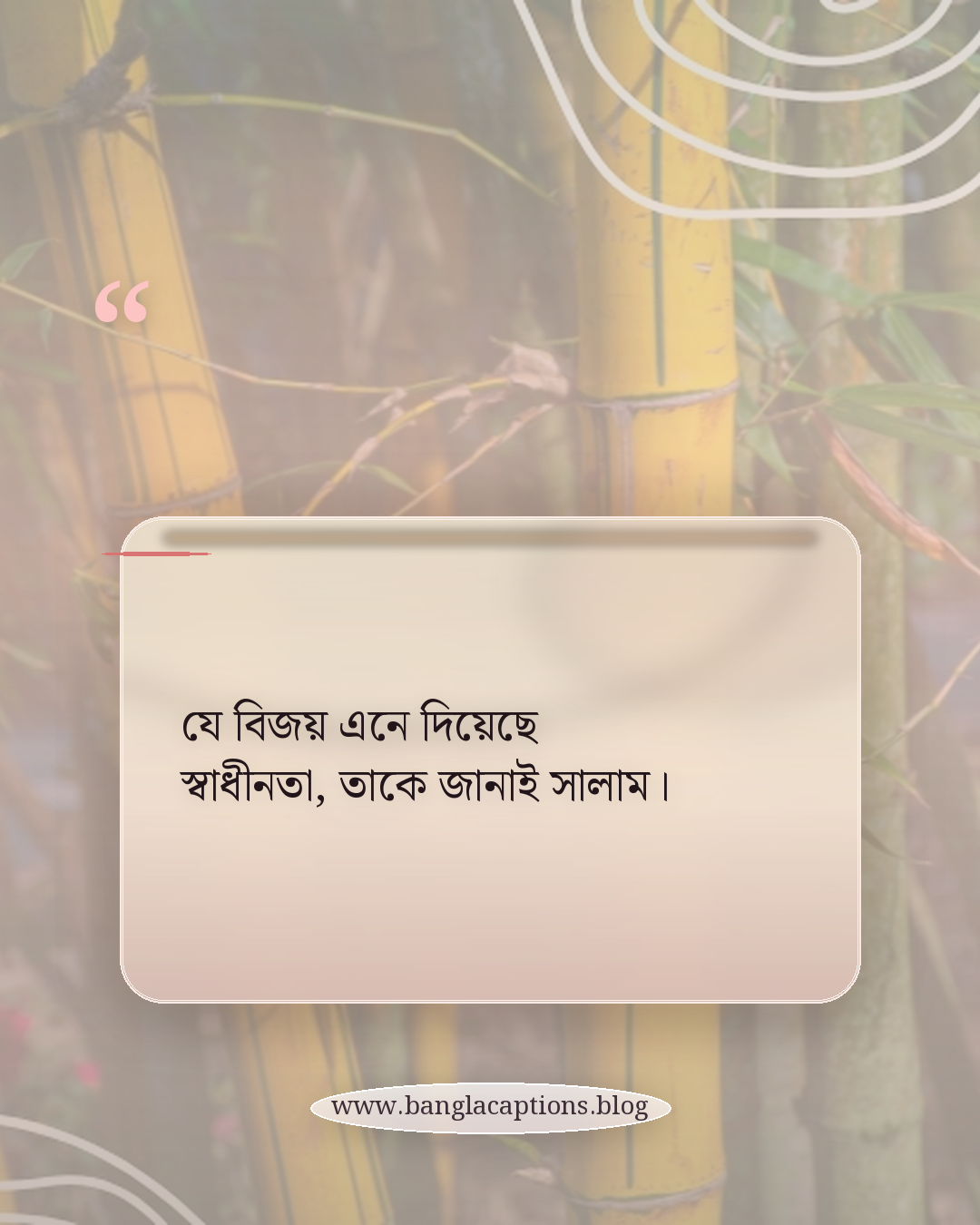 যে বিজয় এনে দিয়েছে স্বাধীনতা, তাকে জানাই সালাম। - বিজয় দিবস নিয়ে ক্যাপশন