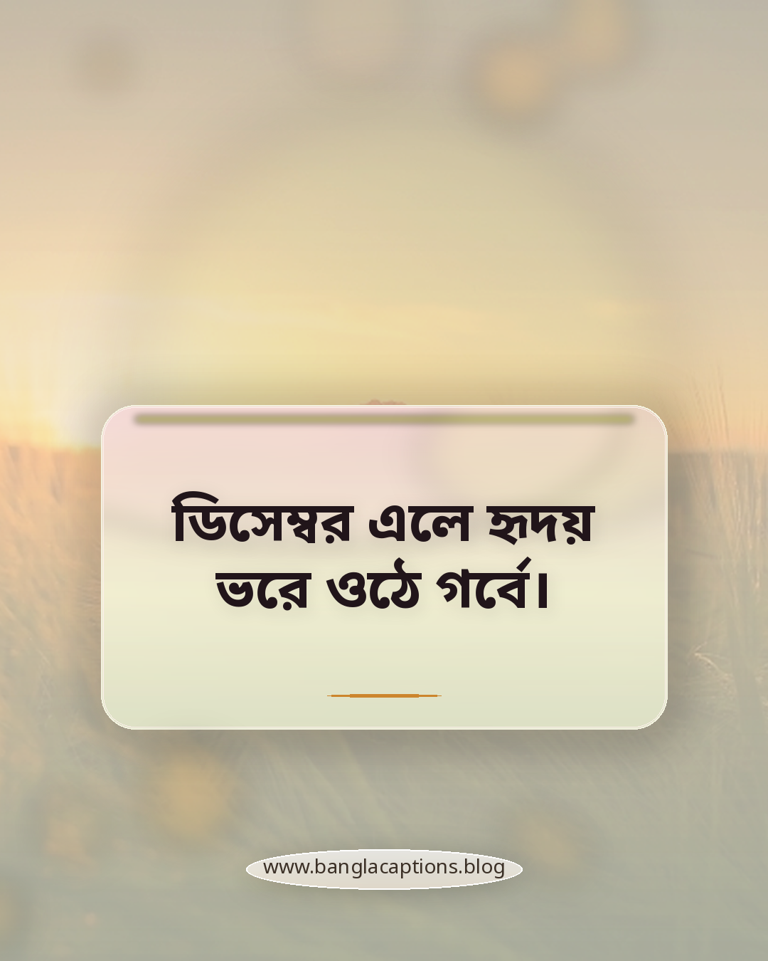 ডিসেম্বর এলে হৃদয় ভরে ওঠে গর্বে। - বিজয় দিবস নিয়ে ক্যাপশন