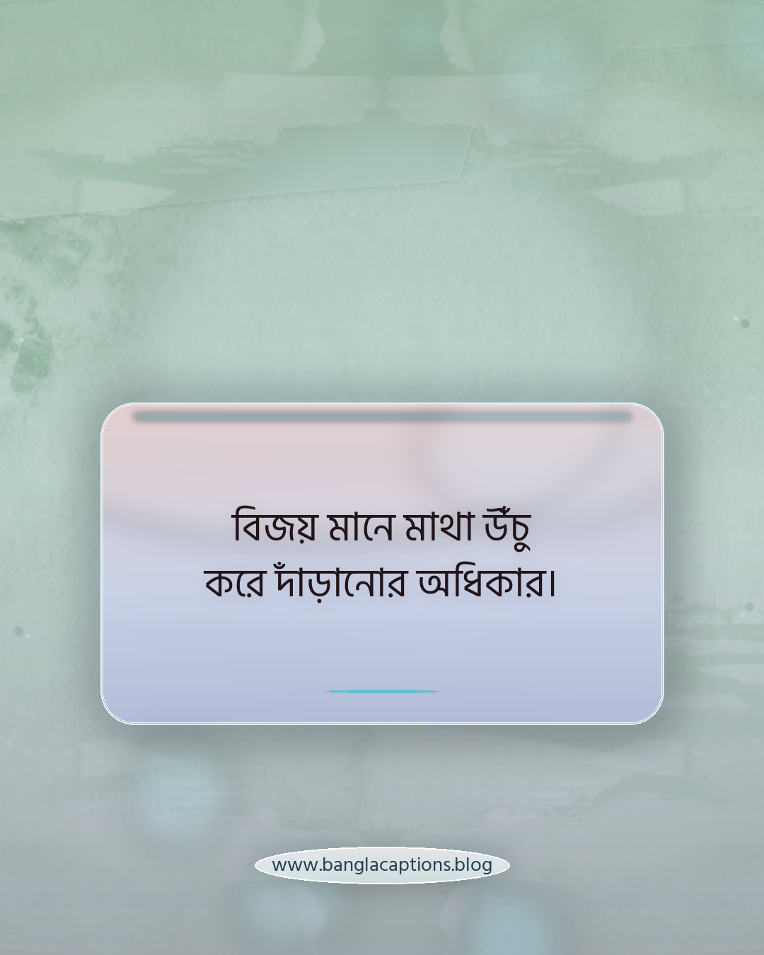 বিজয় মানে মাথা উঁচু করে দাঁড়ানোর অধিকার। - বিজয় নিয়ে উক্তি