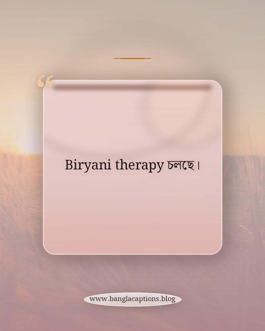 Biryani therapy চলছে। - biryani captions bangla