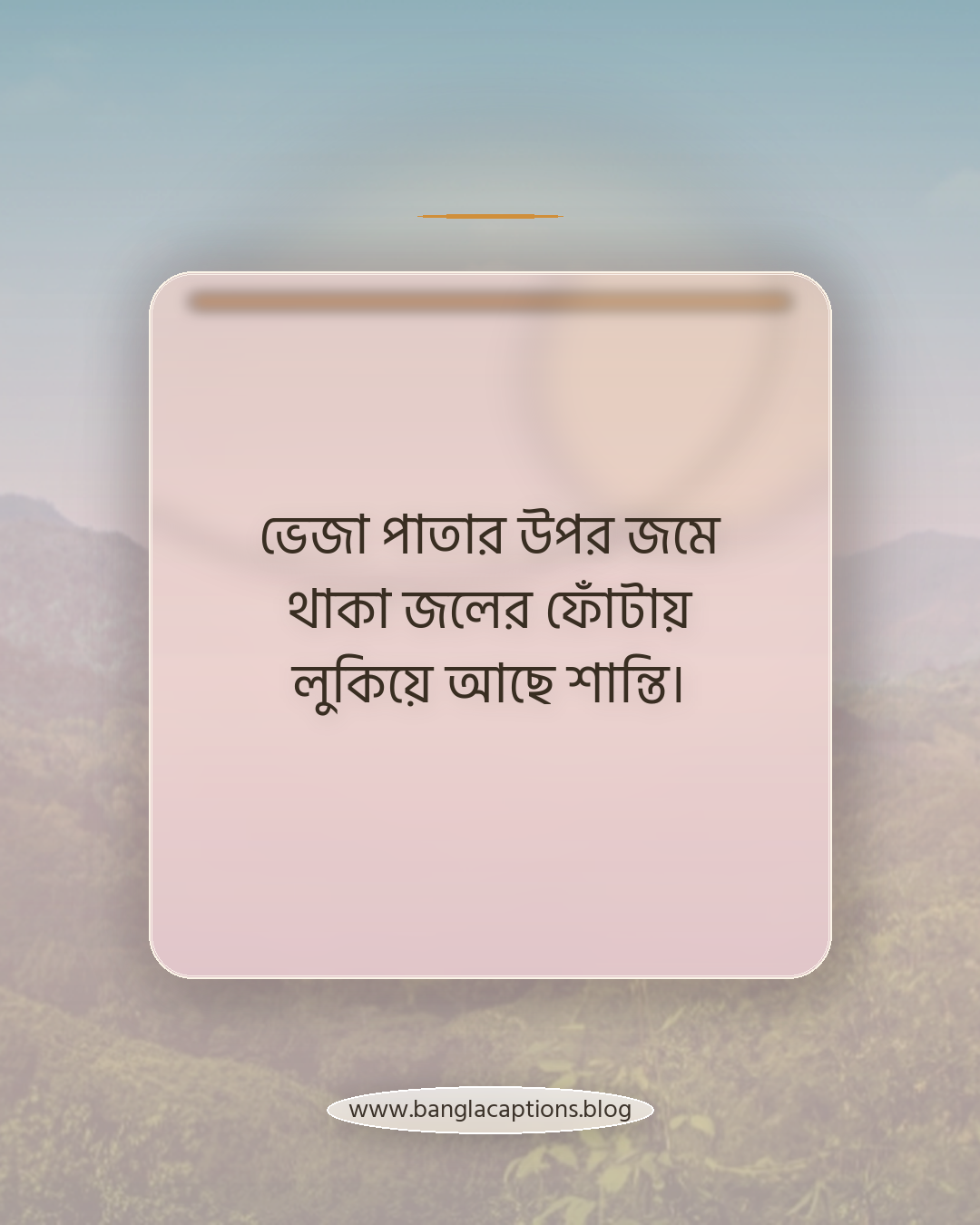 ভেজা পাতার উপর জমে থাকা জলের ফোঁটায় লুকিয়ে আছে শান্তি। - বর্ষার প্রকৃতি নিয়ে ক্যাপশন