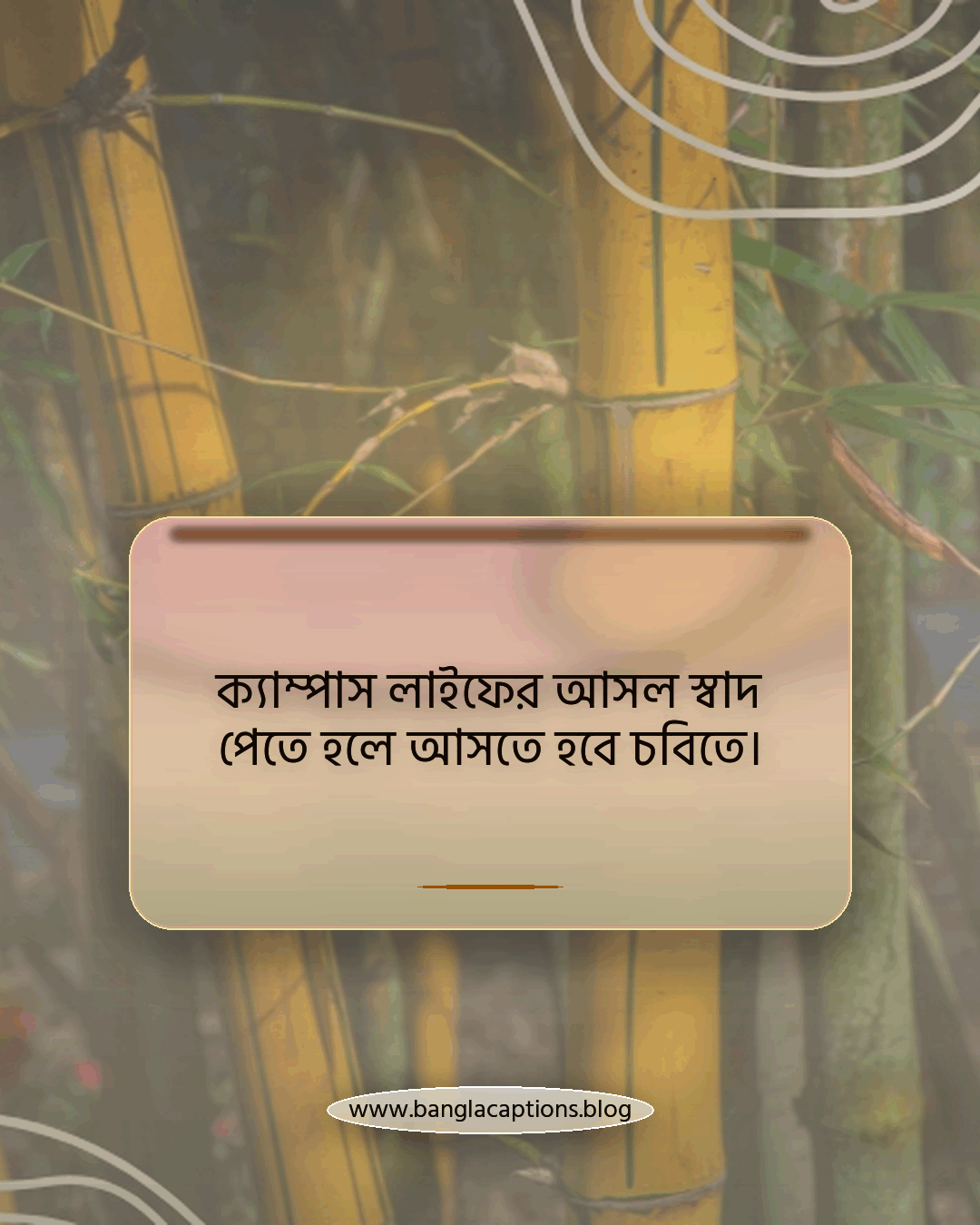 ক্যাম্পাস লাইফের আসল স্বাদ পেতে হলে আসতে হবে চবিতে। - চট্টগ্রাম বিশ্ববিদ্যালয় নিয়ে ক্যাপশন