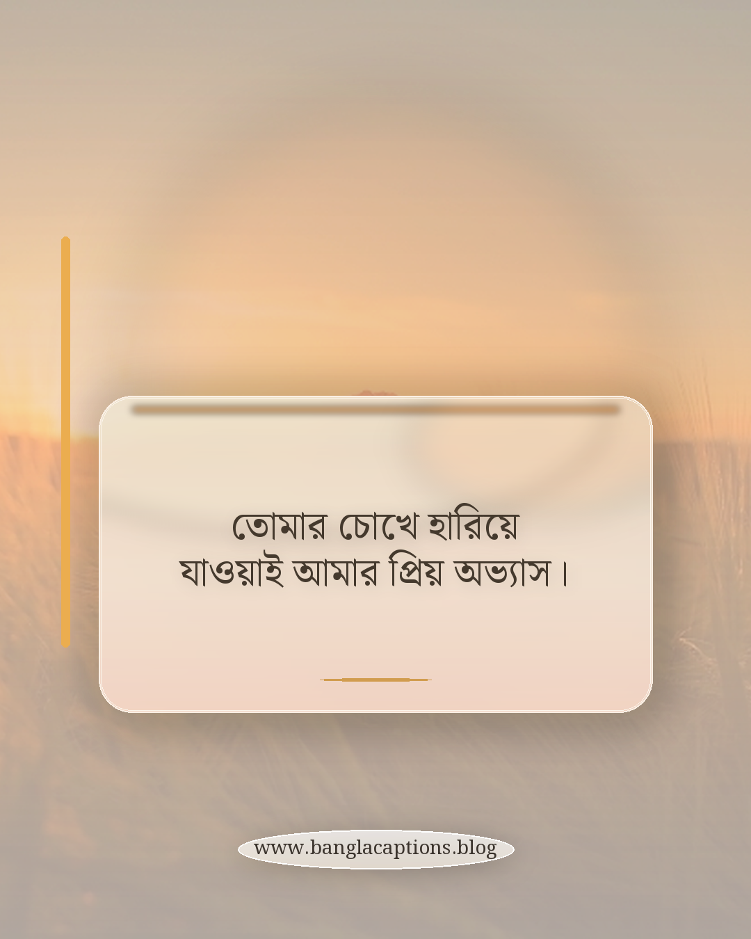তোমার চোখে হারিয়ে যাওয়াই আমার প্রিয় অভ্যাস। - ছেলেদের রোমান্টিক প্রোফাইল পিকচার