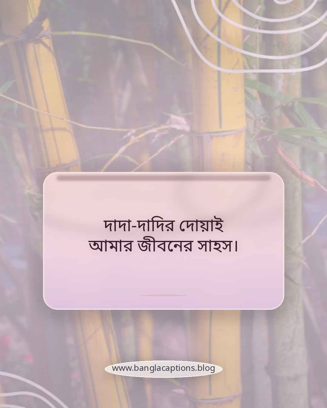 দাদা-দাদির দোয়াই আমার জীবনের সাহস। - দাদা দাদি নিয়ে ক্যাপশন