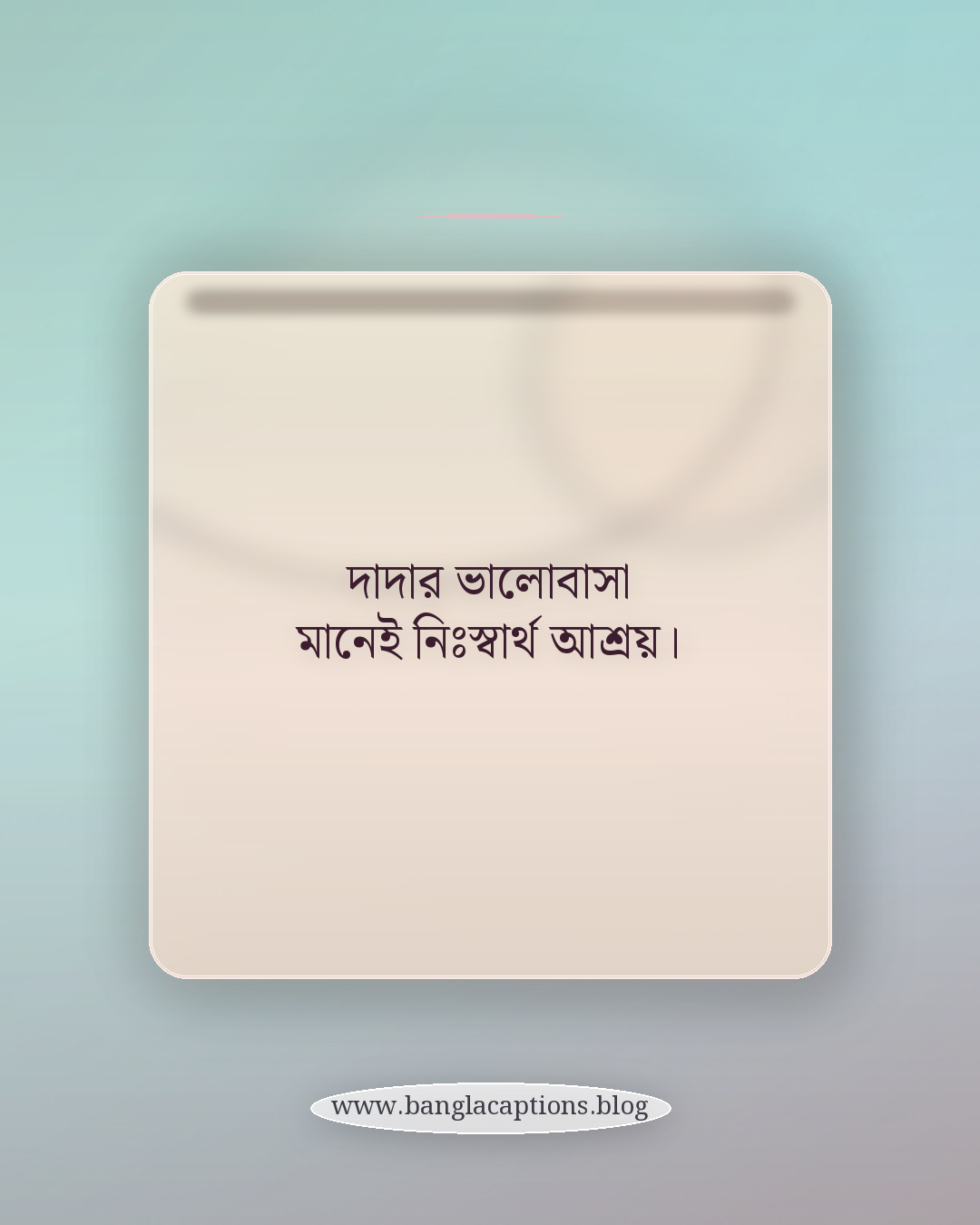 দাদার ভালোবাসা মানেই নিঃস্বার্থ আশ্রয়। - দাদা নাতির ক্যাপশন