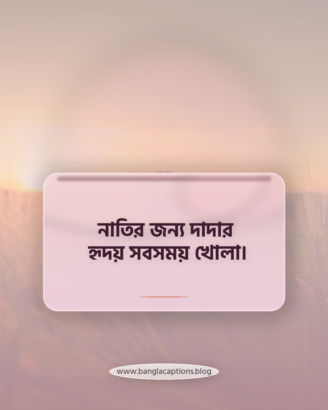 নাতির জন্য দাদার হৃদয় সবসময় খোলা। - দাদা নাতির স্ট্যাটাস