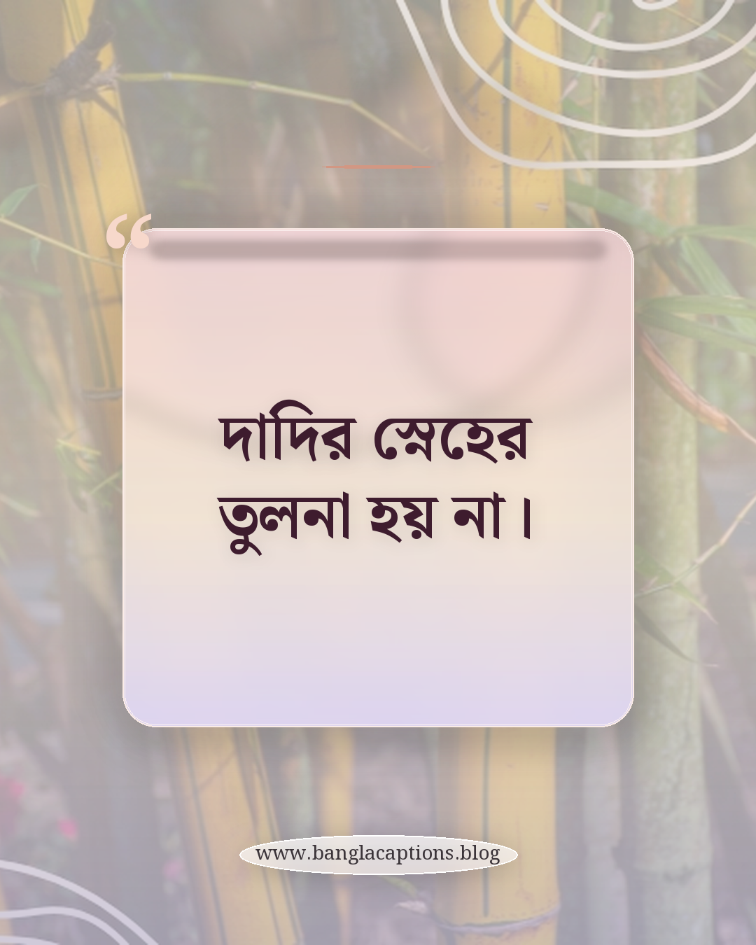 দাদির স্নেহের তুলনা হয় না। - দাদি নিয়ে ক্যাপশন