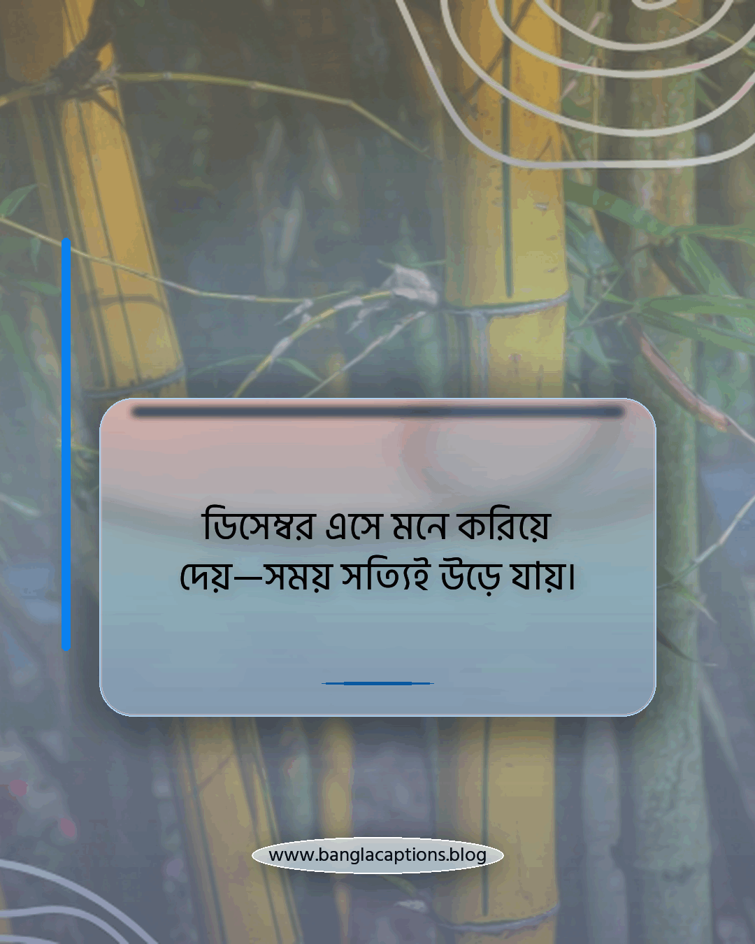 ডিসেম্বর এসে মনে করিয়ে দেয়—সময় সত্যিই উড়ে যায়। - ডিসেম্বর ক্যাপশন