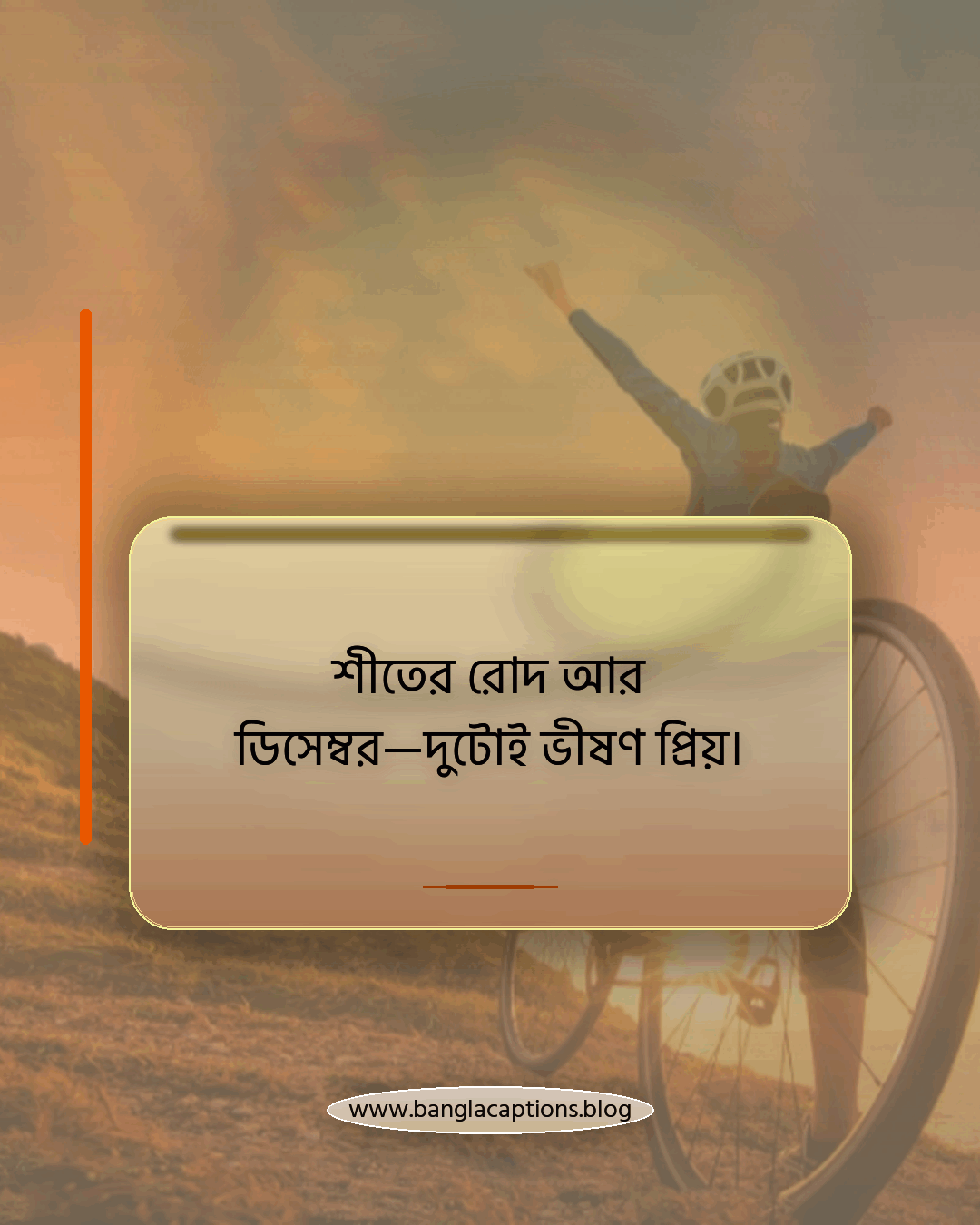 শীতের রোদ আর ডিসেম্বর—দুটোই ভীষণ প্রিয়। - ডিসেম্বর মাস নিয়ে ক্যাপশন
