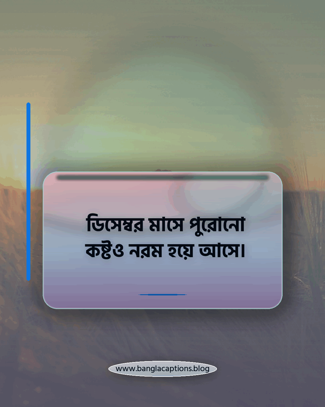 ডিসেম্বর মাসে পুরোনো কষ্টও নরম হয়ে আসে। - ডিসেম্বর মাস নিয়ে ক্যাপশন