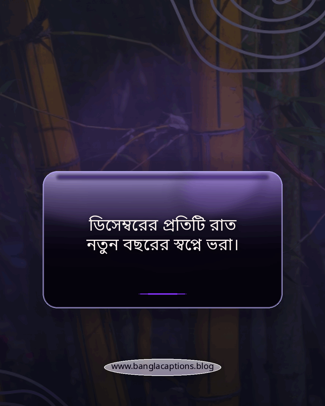 ডিসেম্বরের প্রতিটি রাত নতুন বছরের স্বপ্নে ভরা। - ডিসেম্বর মাস নিয়ে উক্তি