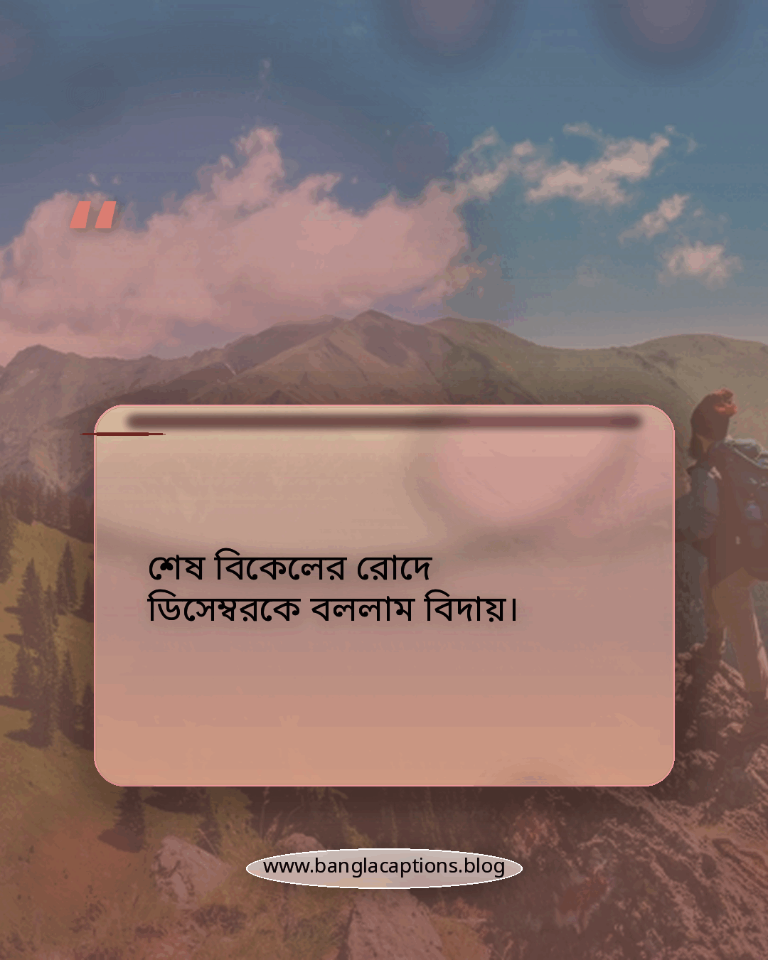 শেষ বিকেলের রোদে ডিসেম্বরকে বললাম বিদায়। - ডিসেম্বর শেষ নিয়ে ক্যাপশন