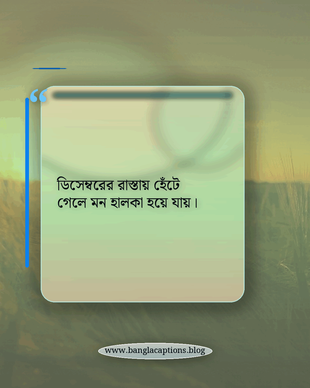 ডিসেম্বরের রাস্তায় হেঁটে গেলে মন হালকা হয়ে যায়। - ডিসেম্বরের শহর নিয়ে ক্যাপশন