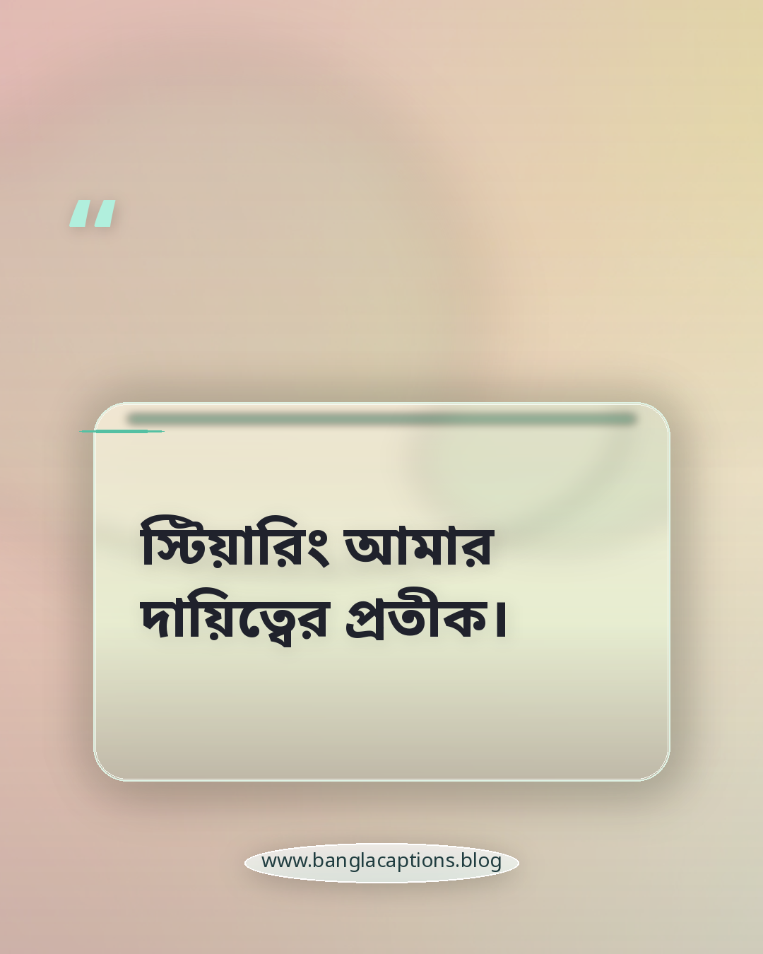 স্টিয়ারিং আমার দায়িত্বের প্রতীক। - ড্রাইভার নিয়ে ক্যাপশন