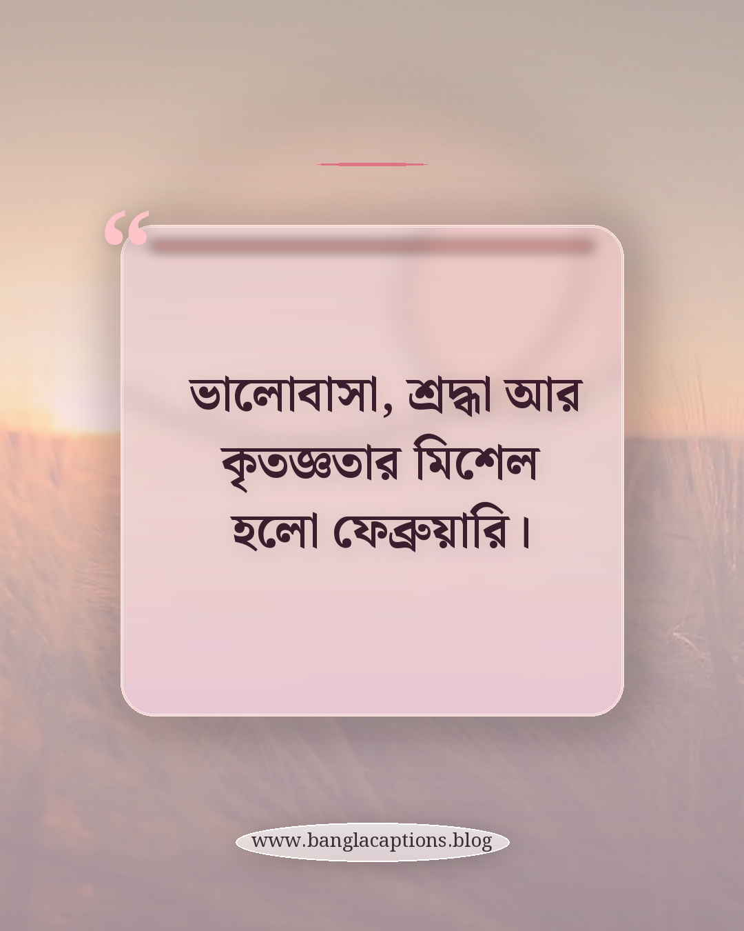 ভালোবাসা, শ্রদ্ধা আর কৃতজ্ঞতার মিশেল হলো ফেব্রুয়ারি। - ফেব্রুয়ারি নিয়ে কিছু কথা