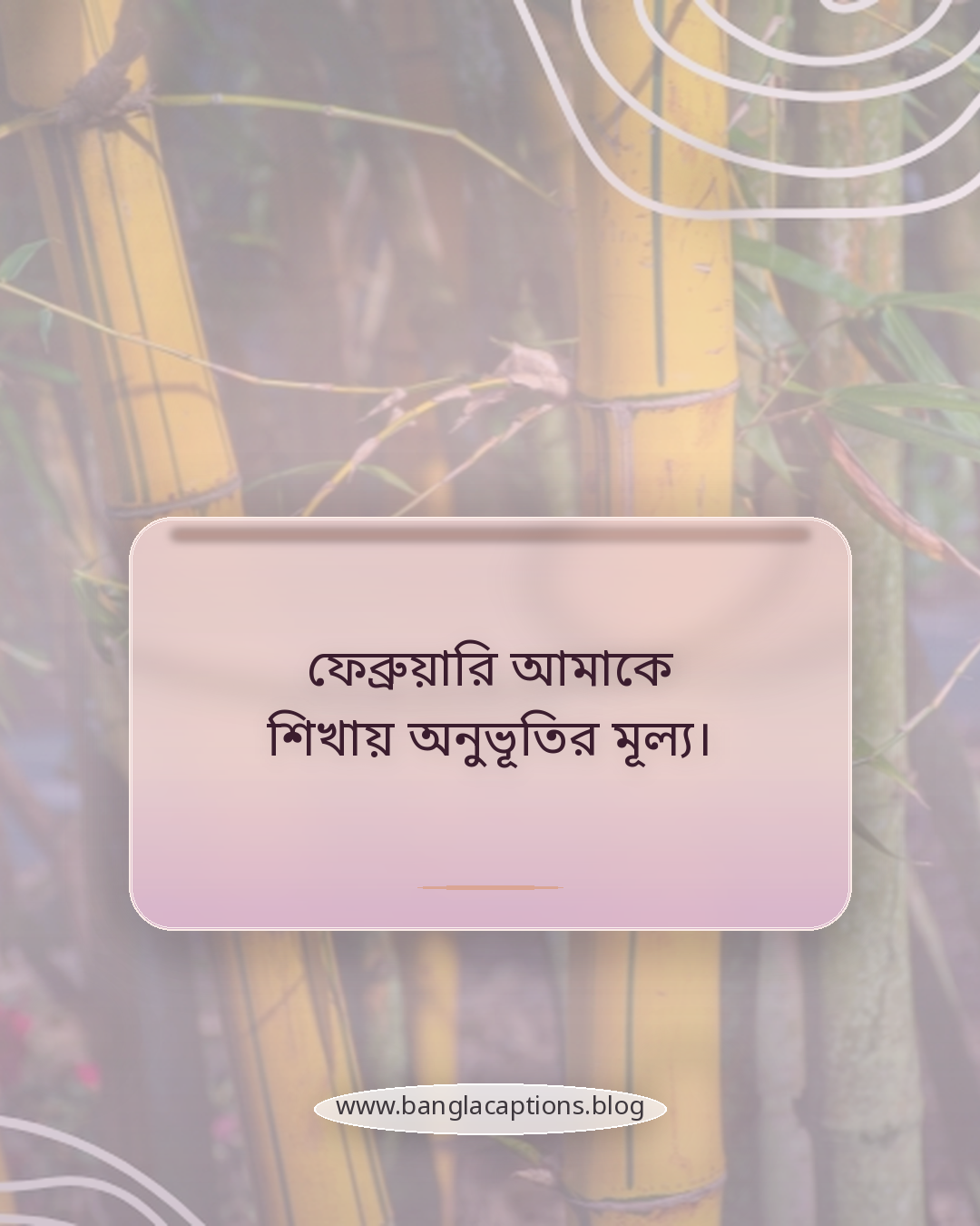 ফেব্রুয়ারি আমাকে শিখায় অনুভূতির মূল্য। - ফেব্রুয়ারি নিয়ে স্ট্যাটাস