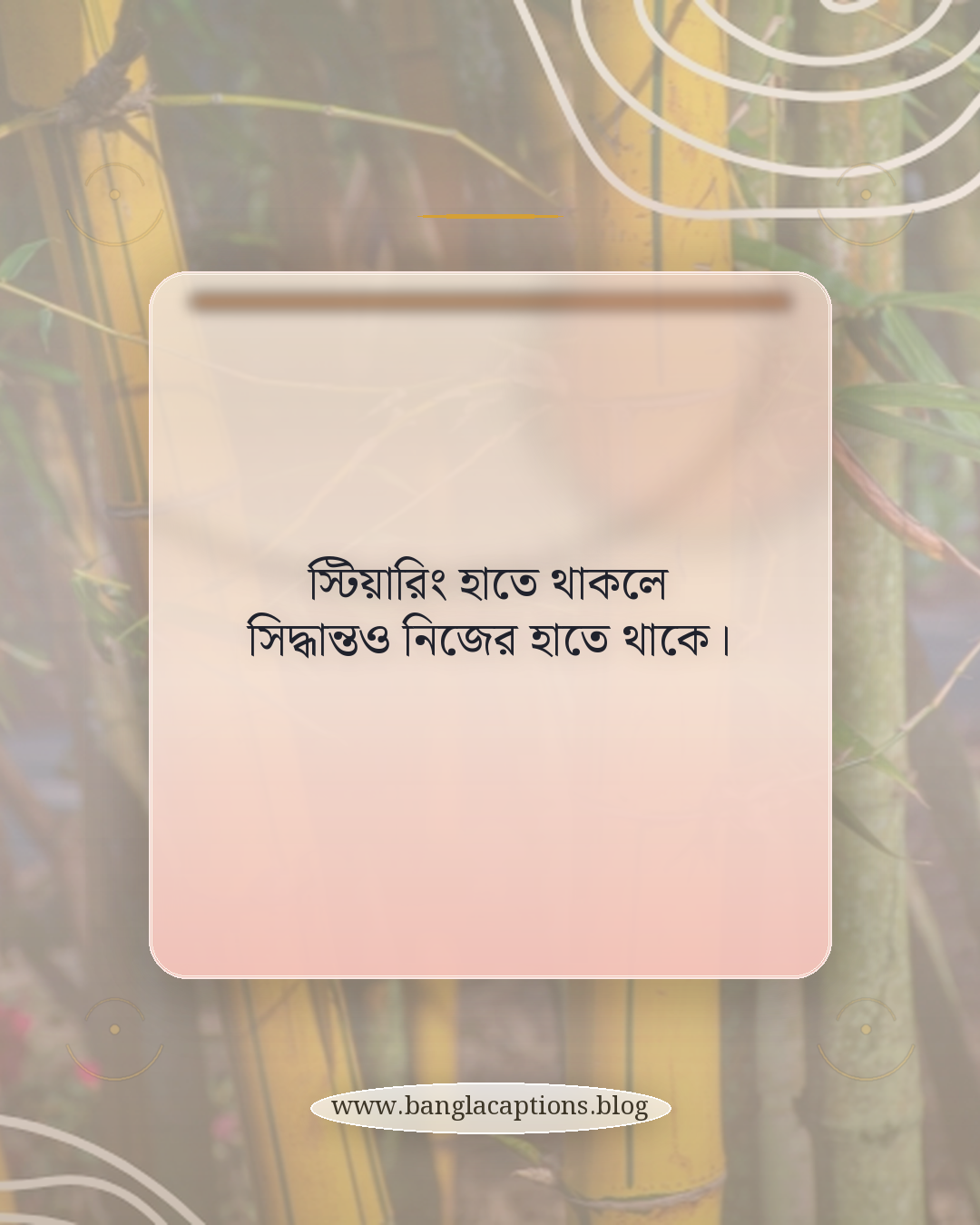 স্টিয়ারিং হাতে থাকলে সিদ্ধান্তও নিজের হাতে থাকে। - গাড়ি নিয়ে উক্তি