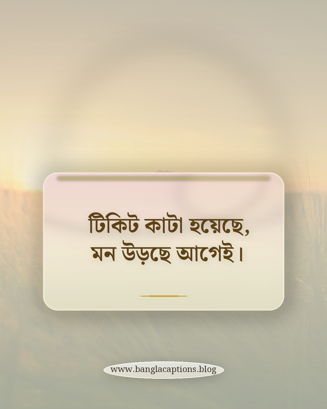 টিকিট কাটা হয়েছে, মন উড়ছে আগেই। - ঘুরতে যাওয়া নিয়ে ক্যাপশন