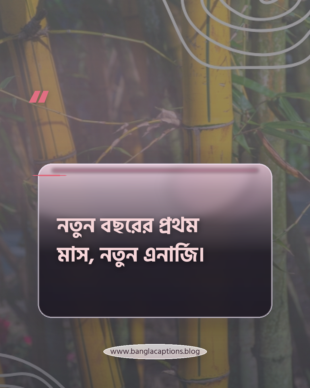 নতুন বছরের প্রথম মাস, নতুন এনার্জি। - জানুয়ারি মাসের ক্যাপশন