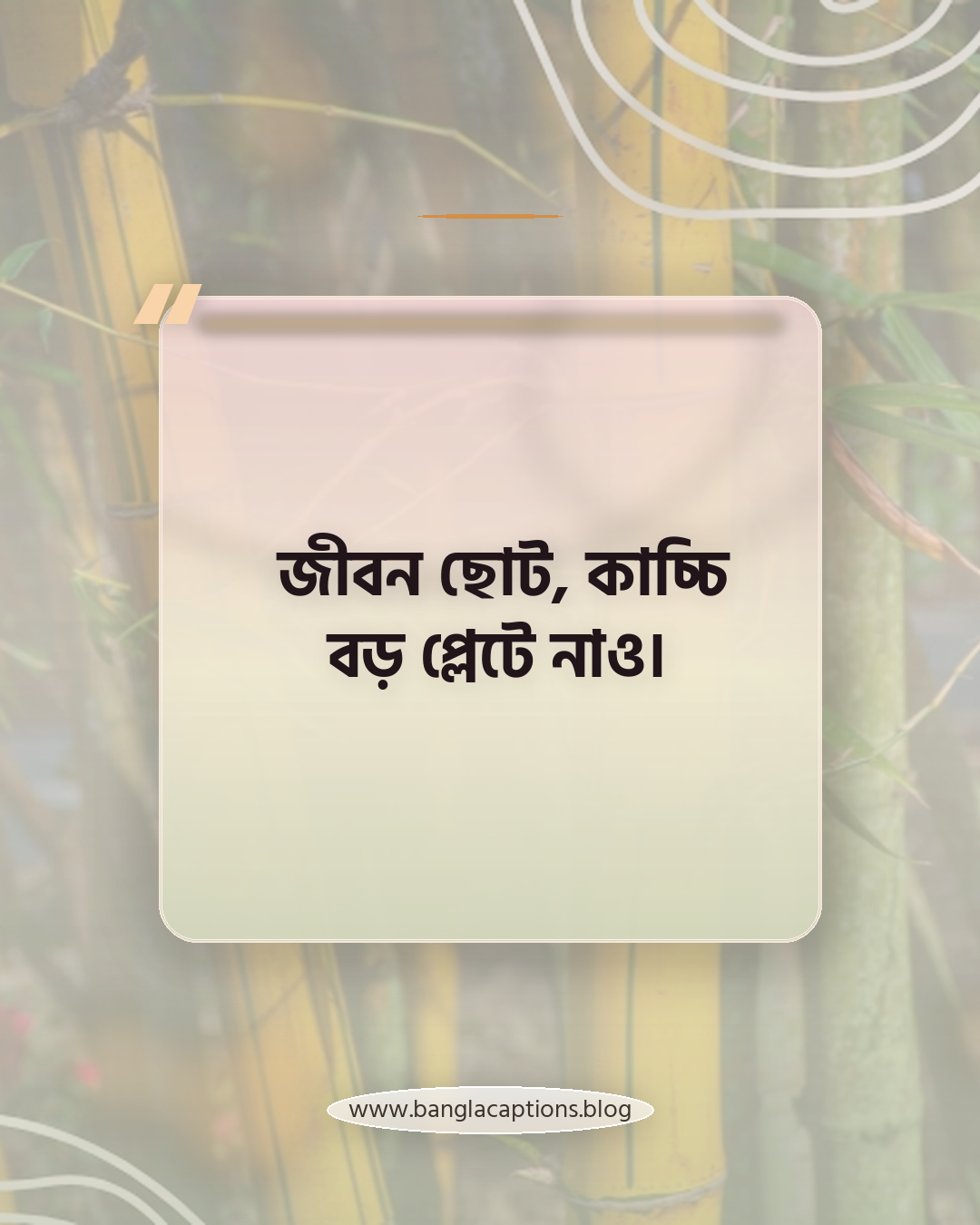 জীবন ছোট, কাচ্চি বড় প্লেটে নাও। - কাচ্চি বিরিয়ানি নিয়ে ক্যাপশন