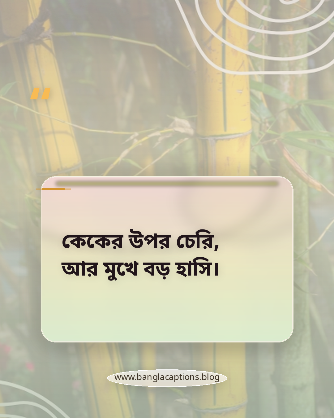 কেকের উপর চেরি, আর মুখে বড় হাসি। - কেক নিয়ে ফানি ক্যাপশন