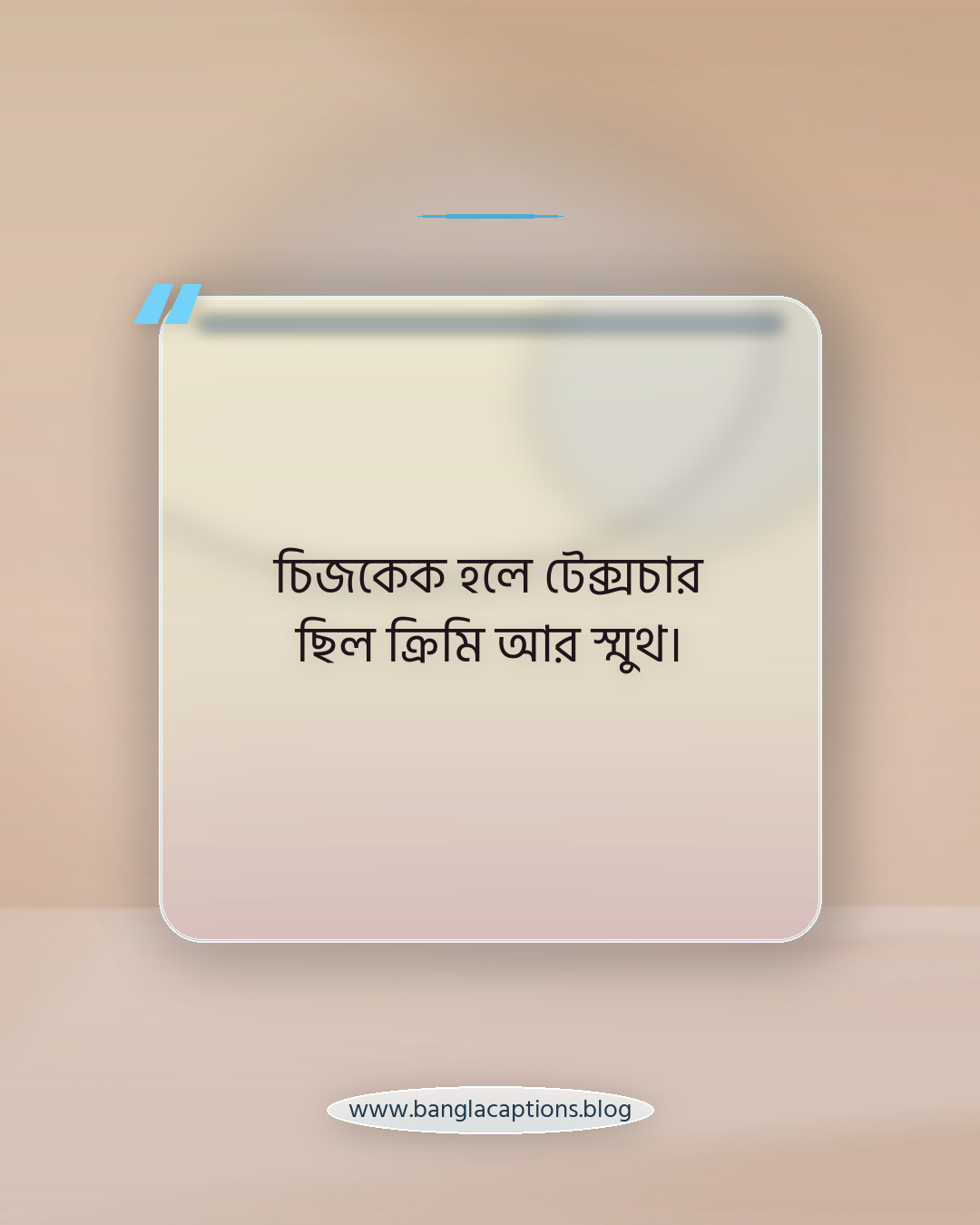 চিজকেক হলে টেক্সচার ছিল ক্রিমি আর স্মুথ। - কেক রিভিউ ক্যাপশন