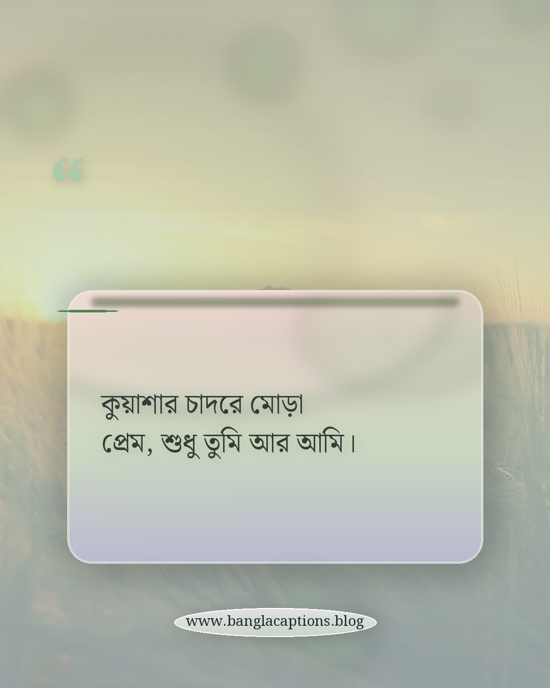কুয়াশার চাদরে মোড়া প্রেম, শুধু তুমি আর আমি। - কুয়াশা নিয়ে রোমান্টিক ক্যাপশন