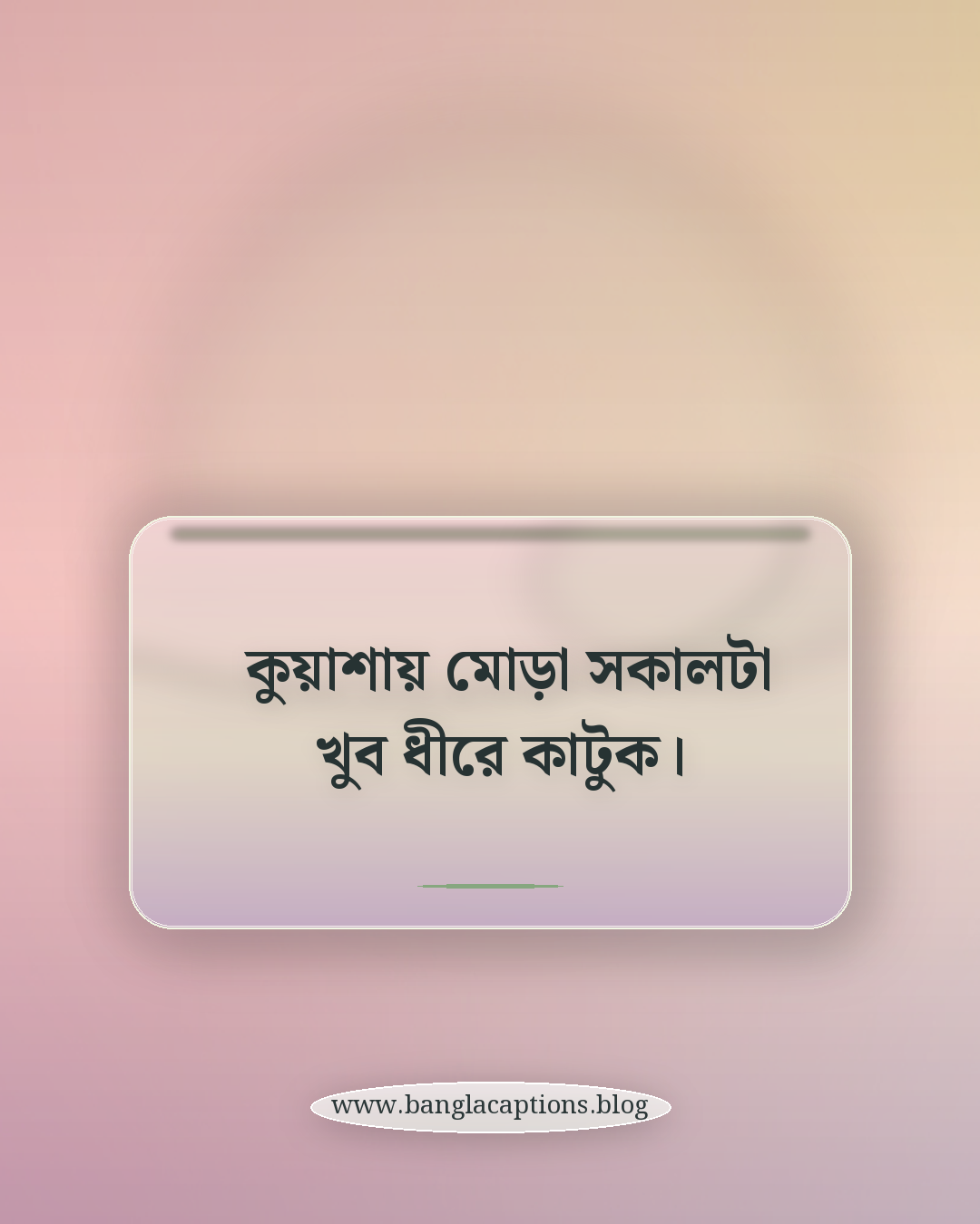 কুয়াশায় মোড়া সকালটা খুব ধীরে কাটুক। - কুয়াশার সকাল নিয়ে ক্যাপশন