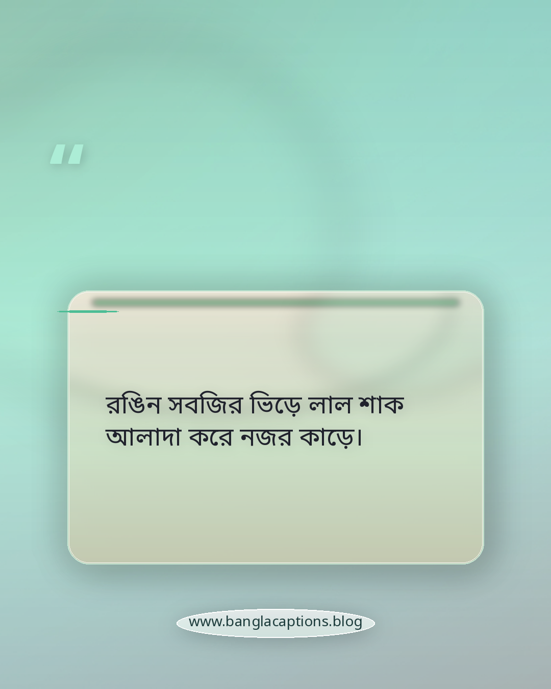 রঙিন সবজির ভিড়ে লাল শাক আলাদা করে নজর কাড়ে। - লাল শাক নিয়ে ক্যাপশন