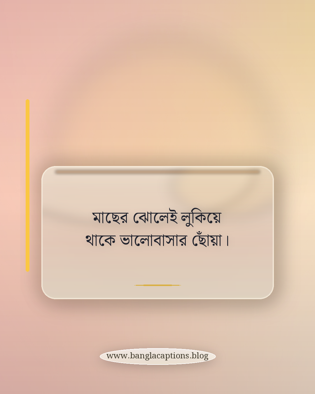 মাছের ঝোলেই লুকিয়ে থাকে ভালোবাসার ছোঁয়া। - মাছ নিয়ে উক্তি
