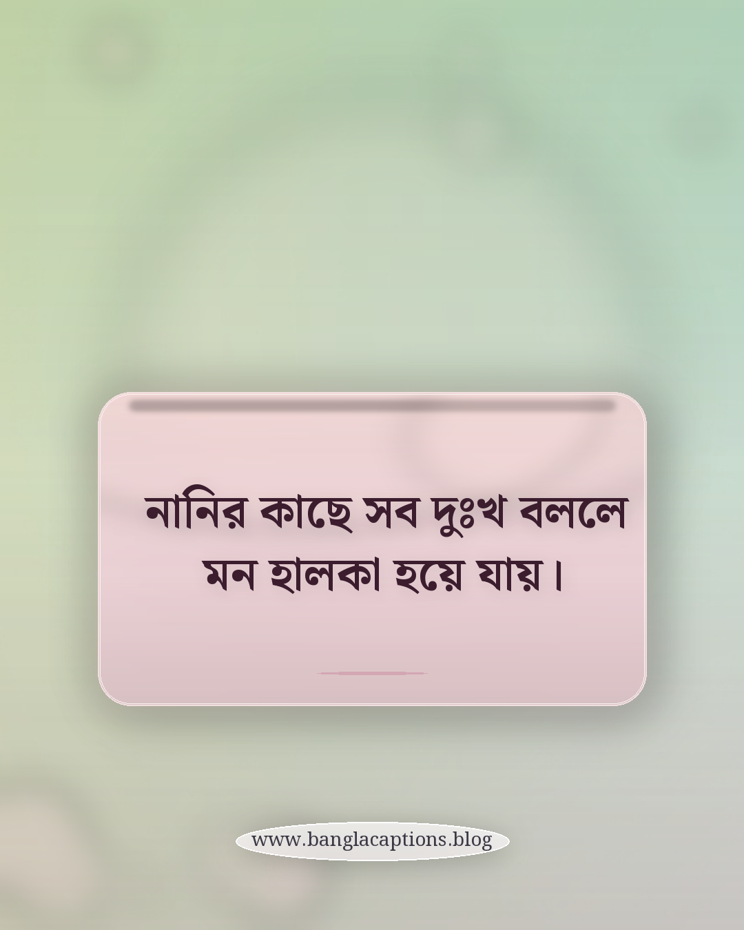 নানির কাছে সব দুঃখ বললে মন হালকা হয়ে যায়। - নানা নানি কে নিয়ে স্ট্যাটাস