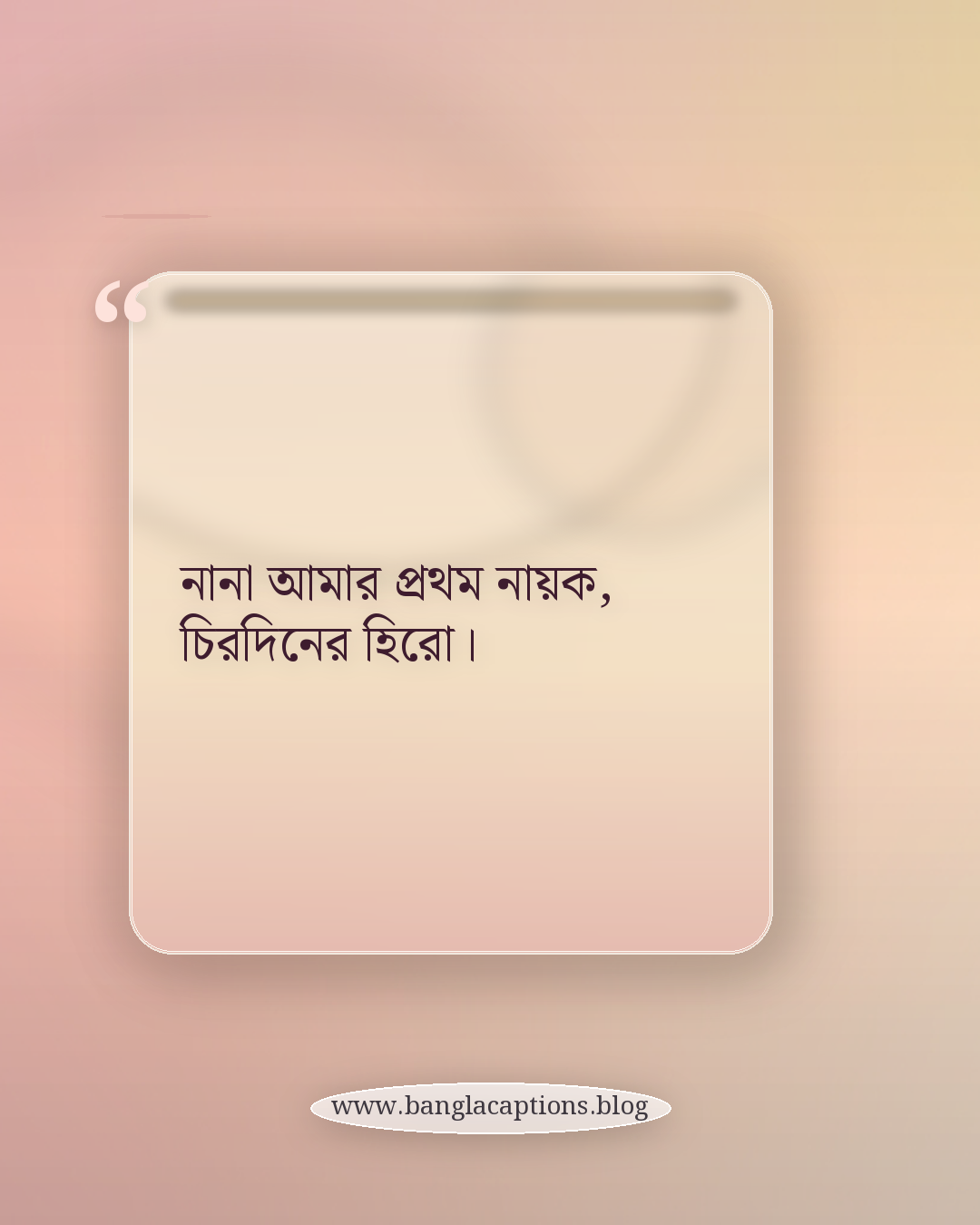 নানা আমার প্রথম নায়ক, চিরদিনের হিরো। - নানা নাতি নিয়ে ক্যাপশন