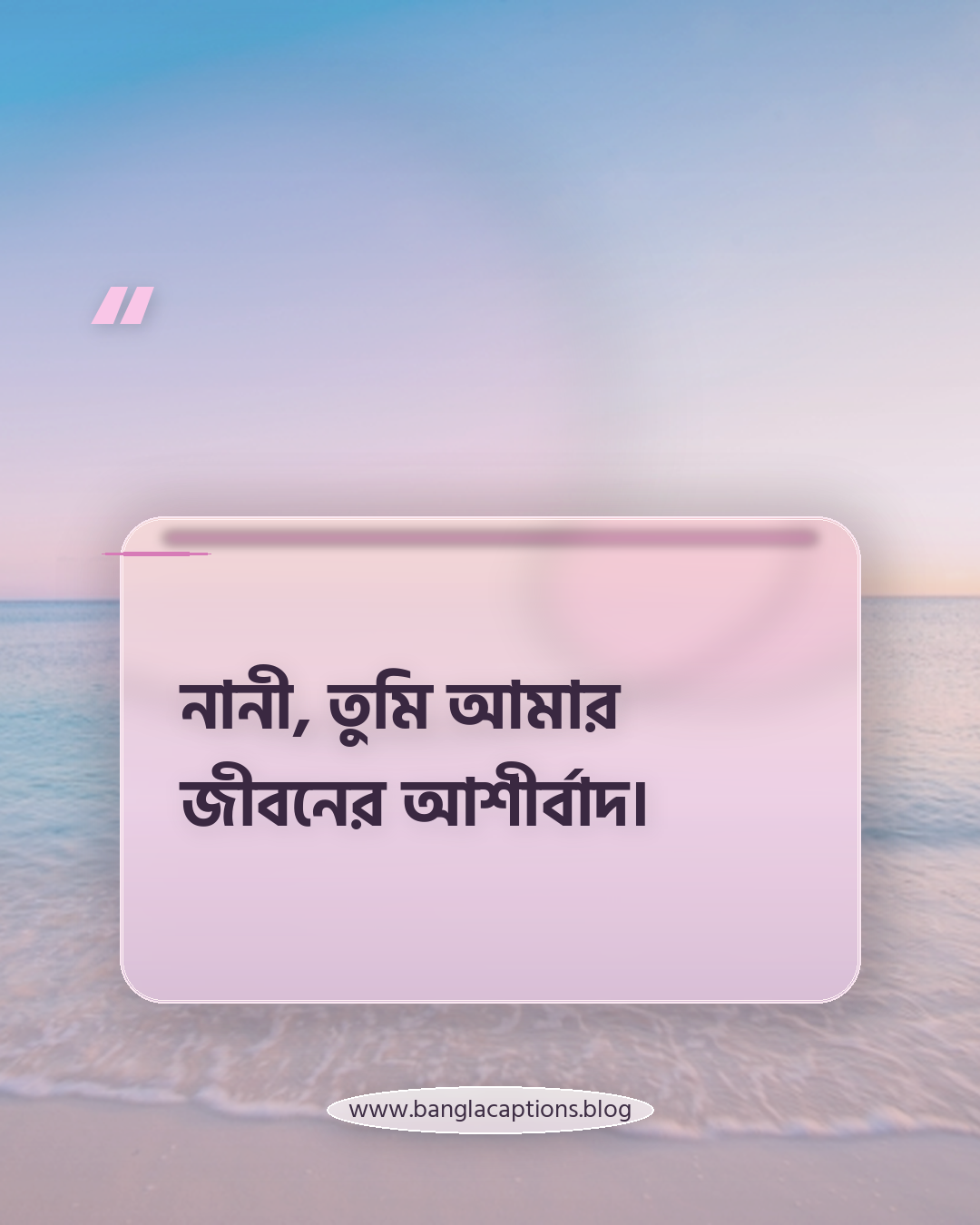 নানী, তুমি আমার জীবনের আশীর্বাদ। - নানীকে নিয়ে ক্যাপশন