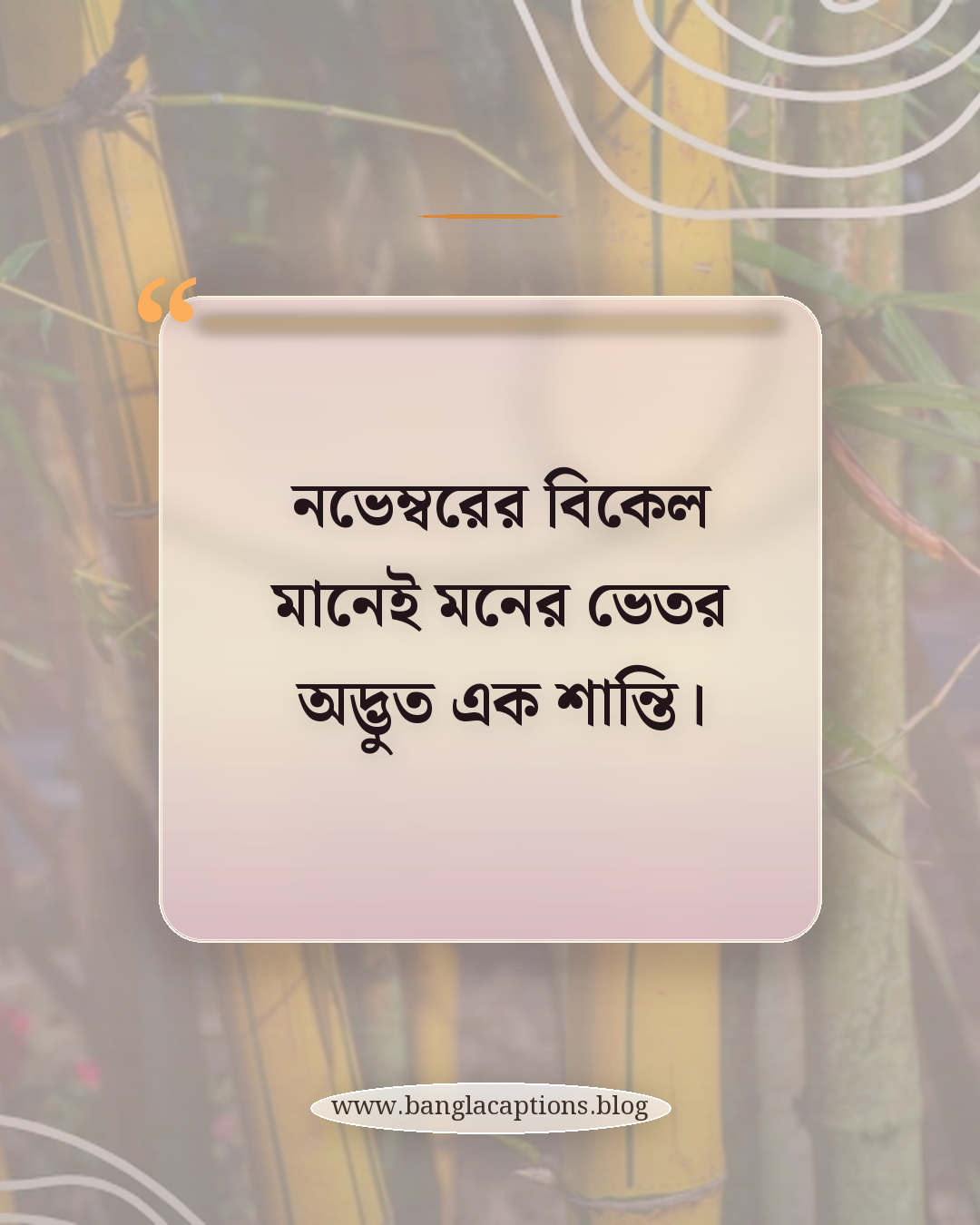 নভেম্বরের বিকেল মানেই মনের ভেতর অদ্ভুত এক শান্তি। - নভেম্বর মাস নিয়ে কিছু কথা
