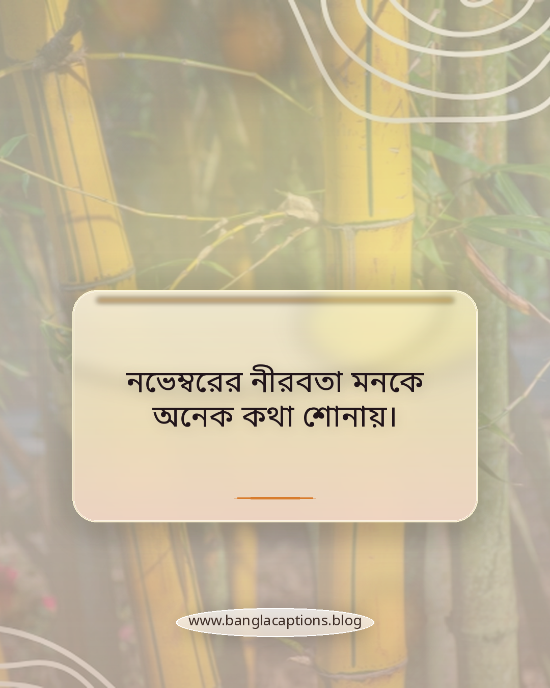 নভেম্বরের নীরবতা মনকে অনেক কথা শোনায়। - নভেম্বর মাস নিয়ে কিছু কথা