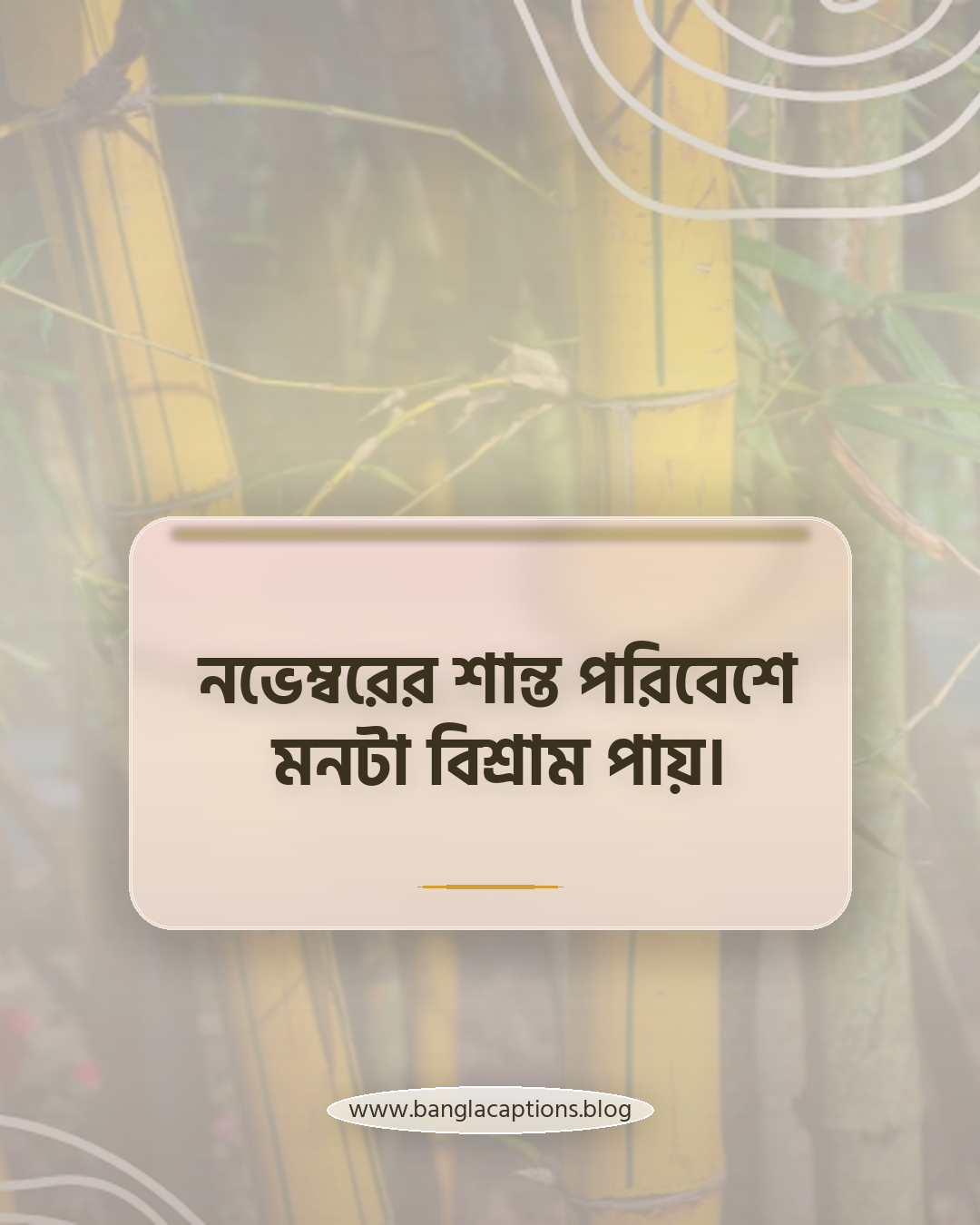 নভেম্বরের শান্ত পরিবেশে মনটা বিশ্রাম পায়। - নভেম্বর মাস নিয়ে স্ট্যাটাস