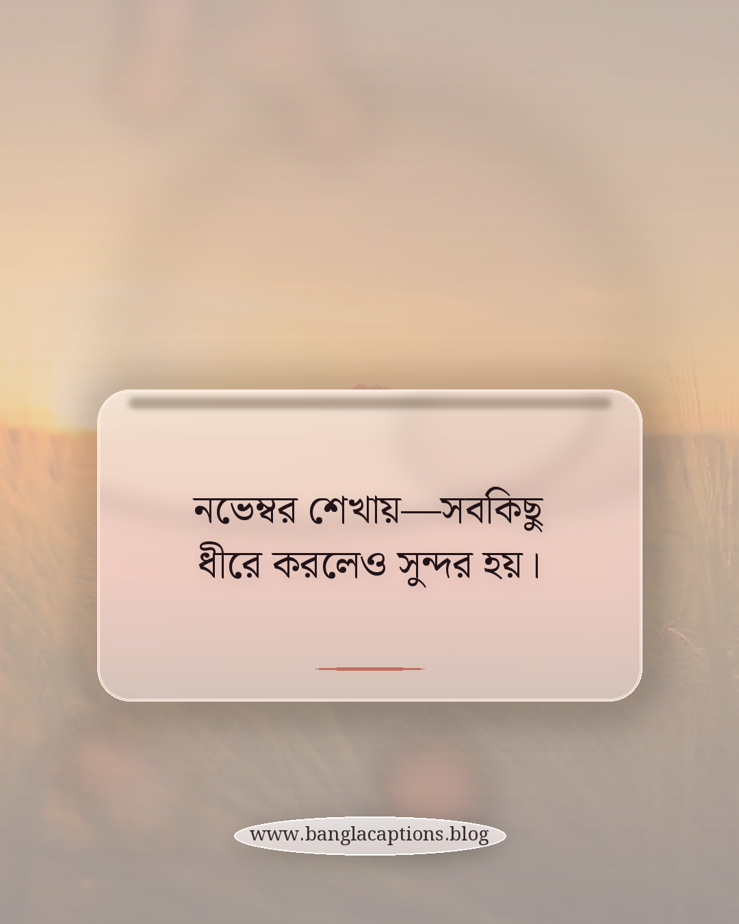 নভেম্বর শেখায়—সবকিছু ধীরে করলেও সুন্দর হয়। - নভেম্বর নিয়ে কিছু কথা