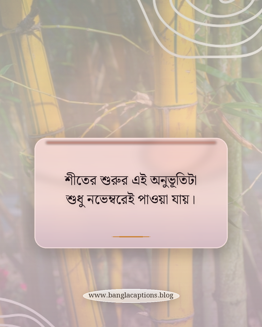 শীতের শুরুর এই অনুভূতিটা শুধু নভেম্বরেই পাওয়া যায়। - নভেম্বর নিয়ে স্ট্যাটাস