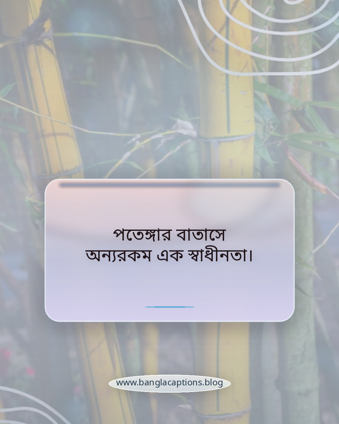 পতেঙ্গার বাতাসে অন্যরকম এক স্বাধীনতা। - পতেঙ্গা সমুদ্র সৈকত নিয়ে ক্যাপশন