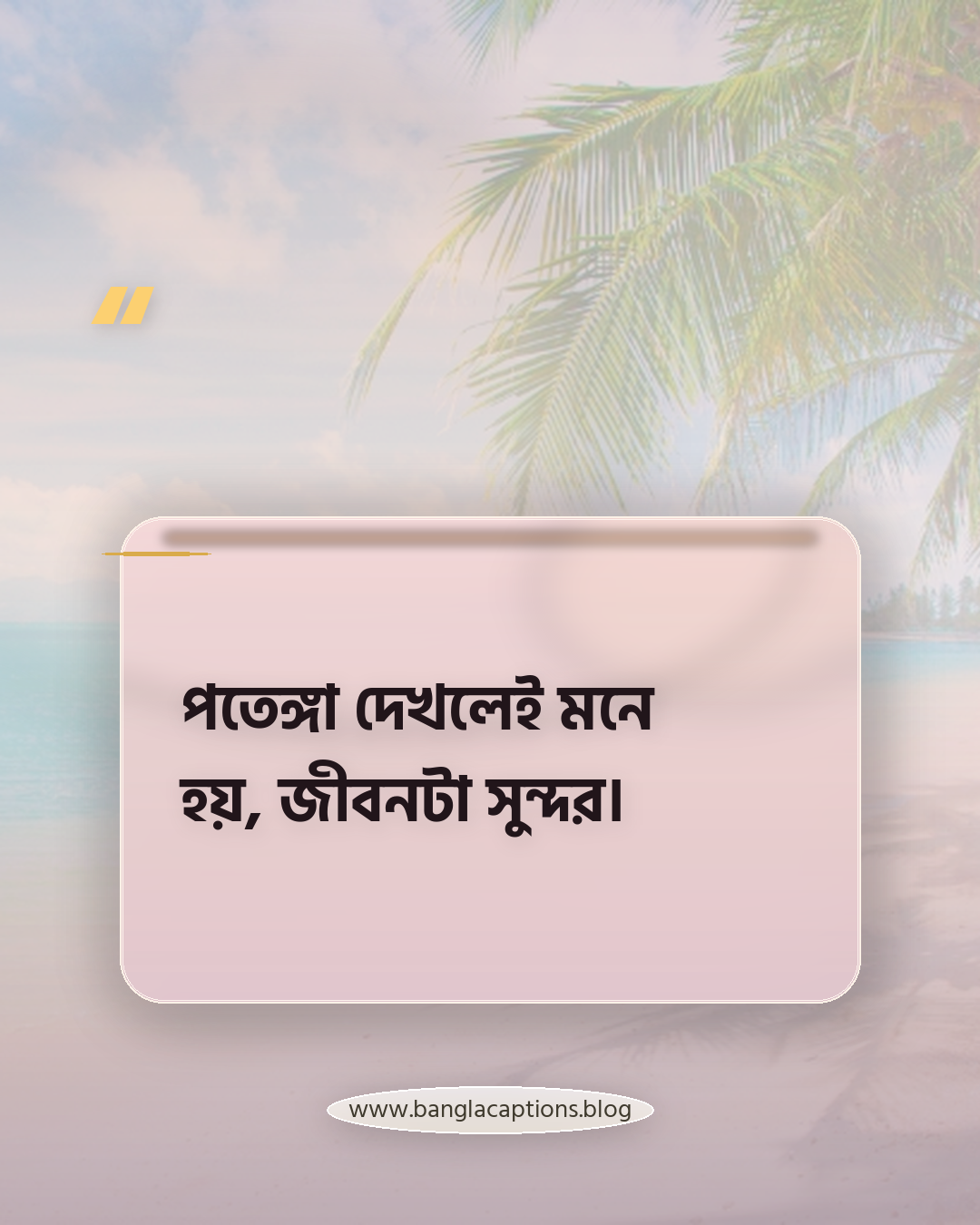 পতেঙ্গা দেখলেই মনে হয়, জীবনটা সুন্দর। - পতেঙ্গা সমুদ্র সৈকত নিয়ে ক্যাপশন