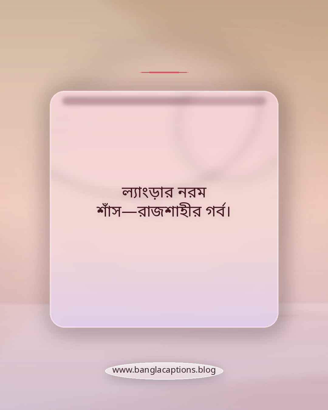 ল্যাংড়ার নরম শাঁস—রাজশাহীর গর্ব। - রাজশাহীর আম নিয়ে কিছু কথা