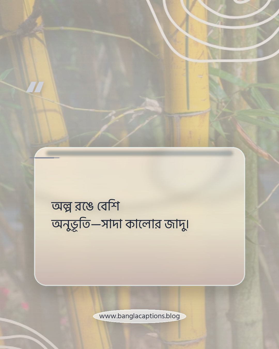 অল্প রঙে বেশি অনুভূতি—সাদা কালোর জাদু। - সাদা কালো ক্যাপশন