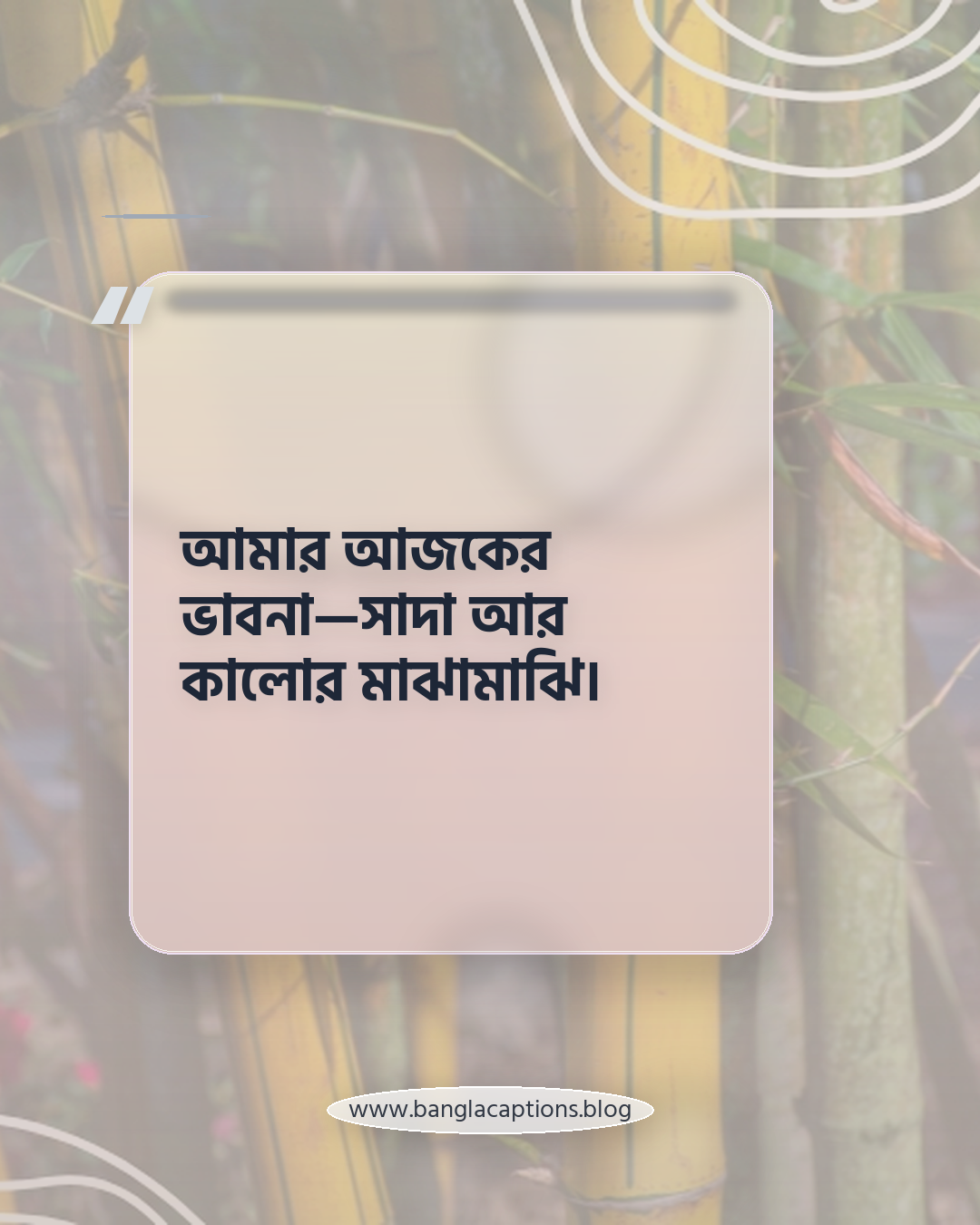 আমার আজকের ভাবনা—সাদা আর কালোর মাঝামাঝি। - সাদাকালো ক্যাপশন