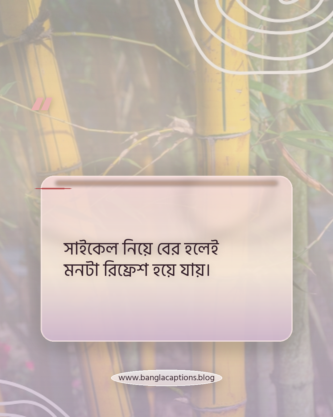 সাইকেল নিয়ে বের হলেই মনটা রিফ্রেশ হয়ে যায়। - সাইকেল চালানো নিয়ে ক্যাপশন