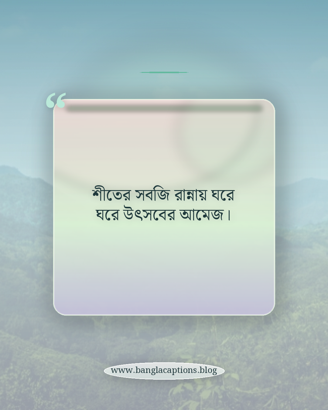 শীতের সবজি রান্নায় ঘরে ঘরে উৎসবের আমেজ। - শীতের সবজি নিয়ে ক্যাপশন
