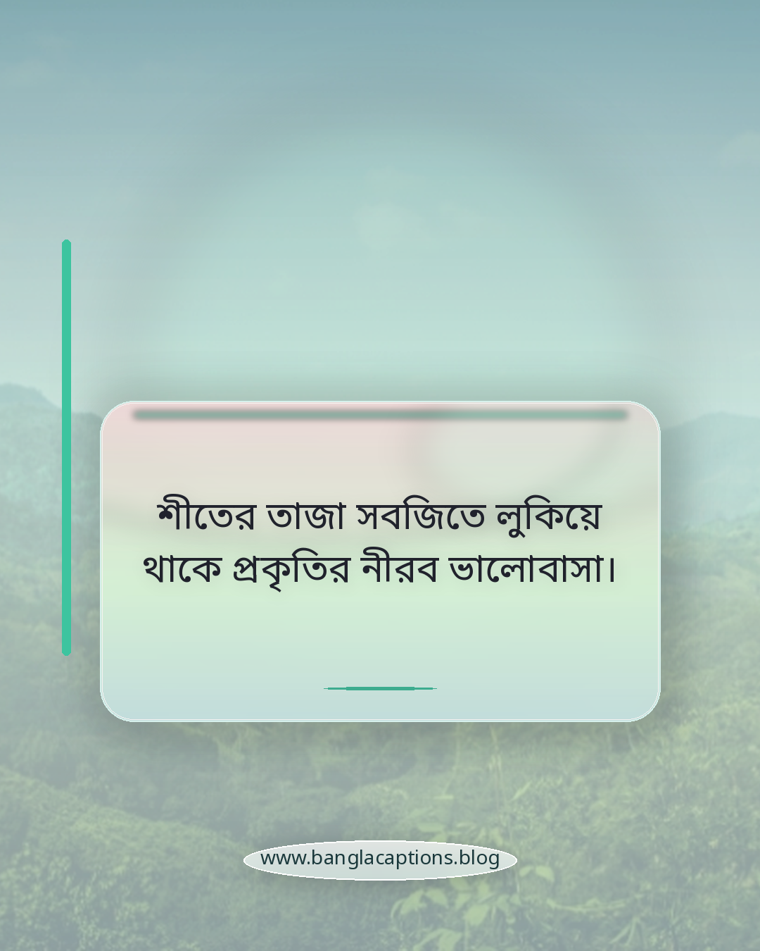 শীতের তাজা সবজিতে লুকিয়ে থাকে প্রকৃতির নীরব ভালোবাসা। - শীতকালীন সবজি নিয়ে উক্তি