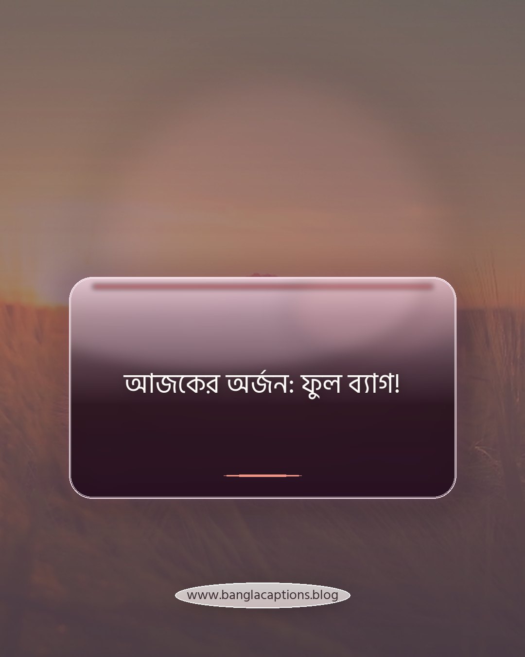 আজকের অর্জন: ফুল ব্যাগ! - shopping caption bangla